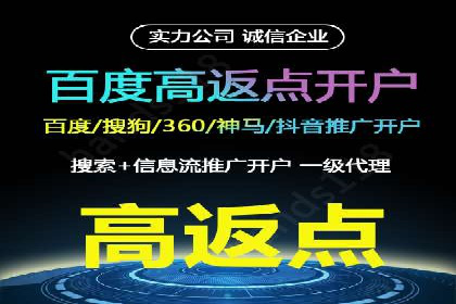 百度竞价账户托管的技巧与策略：从入门到精通的案例解析