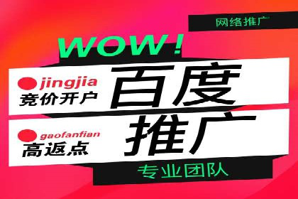 百度推广实战：成功企业的营销策略